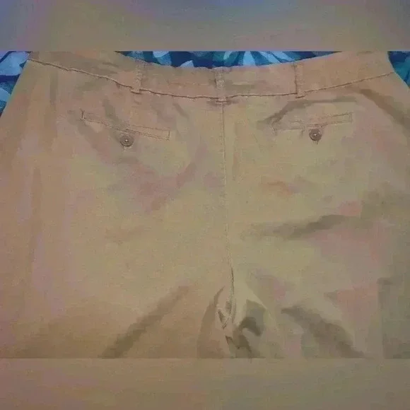 Avenue Stretch size 24 capri pants - Picture 6 of 9